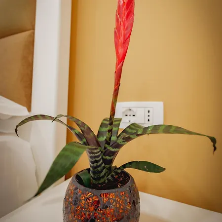 Apartamento Family Garden Ksamil